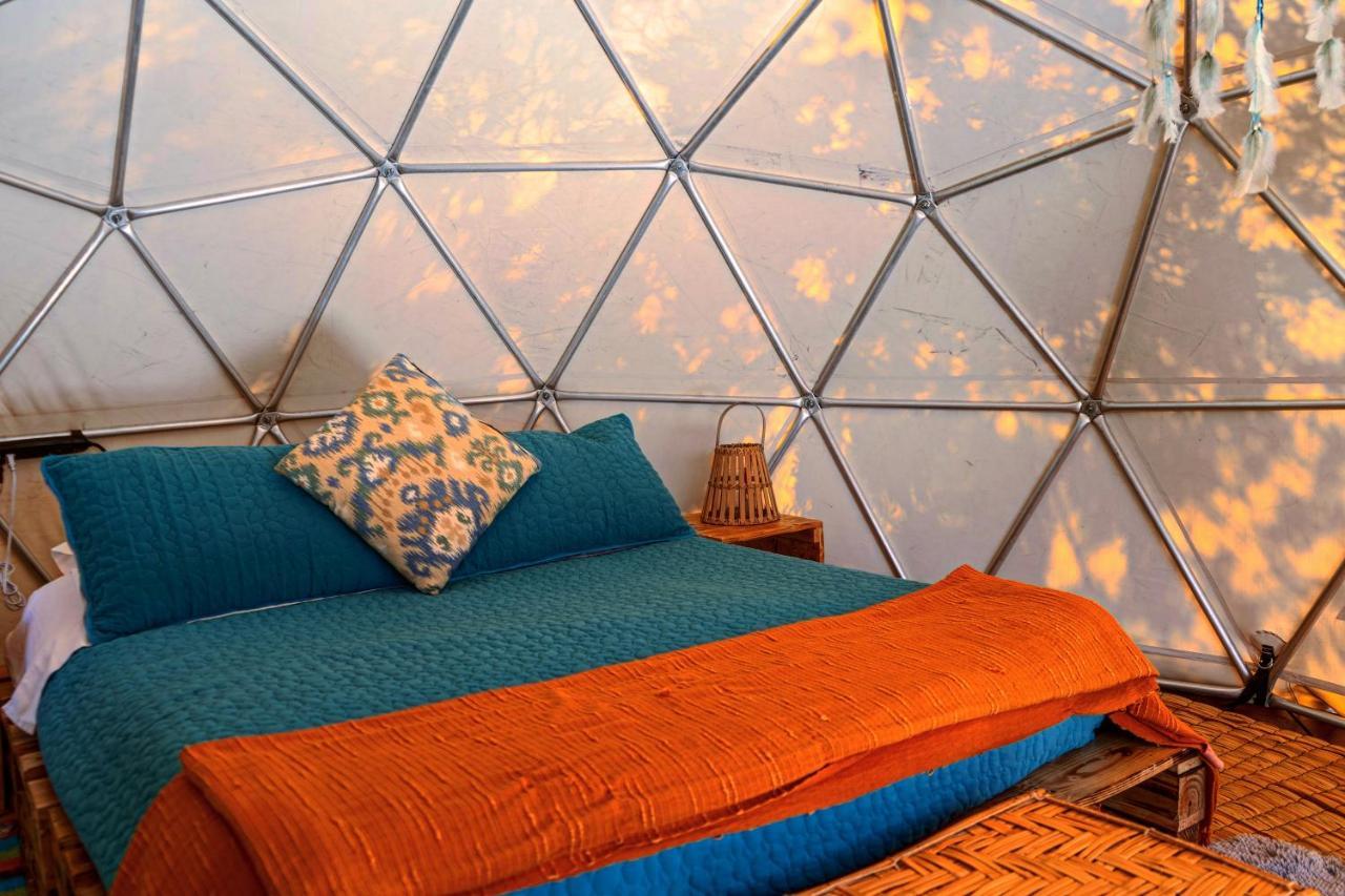 Alma De Campo Glamping - Laguna De Суэска Экстерьер фото