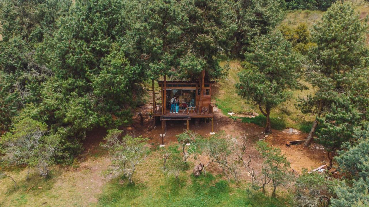 Alma De Campo Glamping - Laguna De Суэска Экстерьер фото